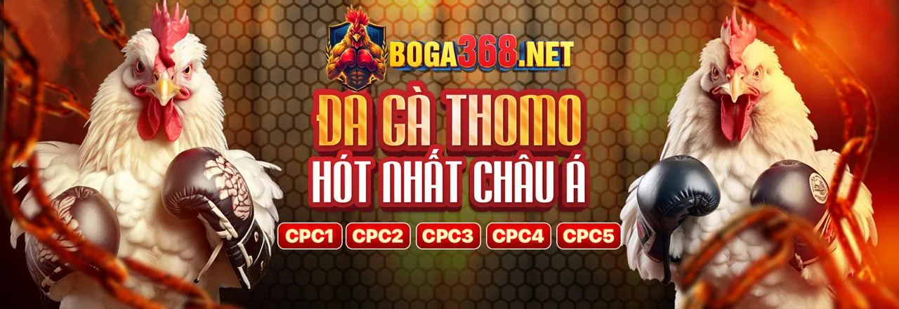Nền tảng sc8888 đăng nhập với cá cược thể thao và casino